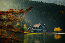 Golcuk National Park Bolu Turkey. Autumn Wooden Lake House Inside Forest In Bolu Golcuk National Park, Turkey Wallpaper