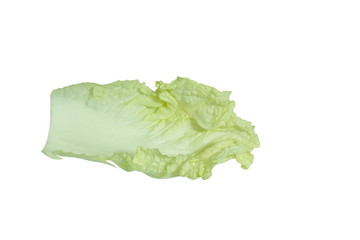 Wall Mural - Chinese cabbage fresh vegetable on white background