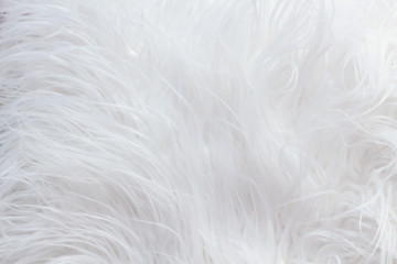 White fluffy fur texture for background