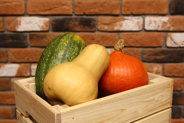 Eco vegetables - hokkaido pampkin, butternut squash, pasta pumpkin in wooden box on bricks background