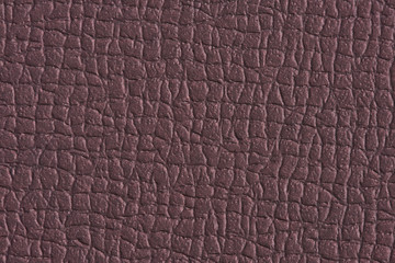 Wall Mural - brown paper with leather texture for background. paper for interior and exterior decoration or backg