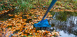 Herbstlaub Laub aus dem  Teich kechern mit großem Kecher