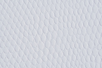Wall Mural - white paper with leather texture for background. paper for interior and exterior decoration or backg