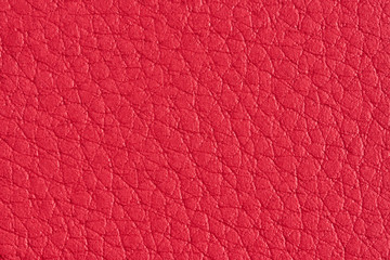 Wall Mural - red paper with leather texture for background. paper for interior and exterior decoration or backgro