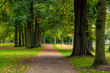 City Park In Eindhoven, Autumn, Netherlands. Nature.