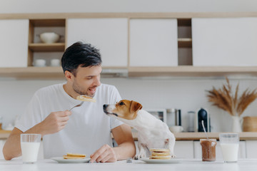 Image of handsome of man in casual white t shirt, eats tasty pancakes, doesnt share with dog, pose against kitchen interior, have fun, drinks milk from glass. Breakfast time concept. Sweet dessert