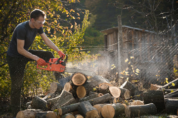 Poster - Chainsaw that stands on a heap of firewood in the yard on a beautiful background of green grass and forest. Cutting wood with a motor tester