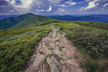 Canvas Print - Wetlina hiking trail and Smerek mountain in Bieszczady National Park, Subcarpathian Voivodeship of Poland