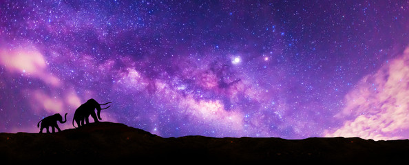 panorama blue night sky milky way and star on dark background.universe filled, nebula and galaxy wit
