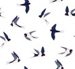 Pattern of flying swallows white background. Many birds in different positions vector seamless background.