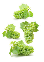 Grapes On A White Background 