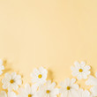 © Floral Deco - Minimal styled concept. White daisy chamomile flowers on pale yellow background. Creative lifestyle, summer, spring concept. Copy space, flat lay, top view.