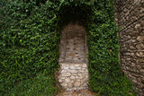 Fototapeta Na drzwi - Green Arch Background