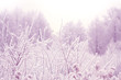Withered grass in winter on blurred forest background toned tender lavender color, Snow on dry twigs with natural backdrop