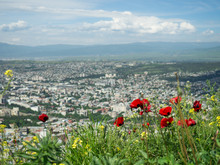 View Of The City And The Red Poppies