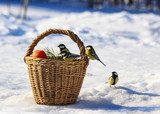 Fototapeta Na sufit -  Birds with a basket in winter