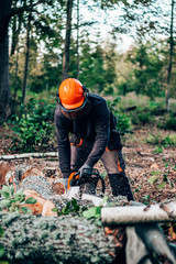 lumberjack cuts down trees with a chainsaw