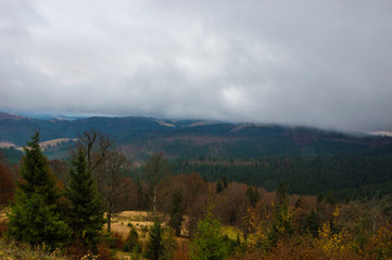 Autumn landscape backgroun in the rain with fog