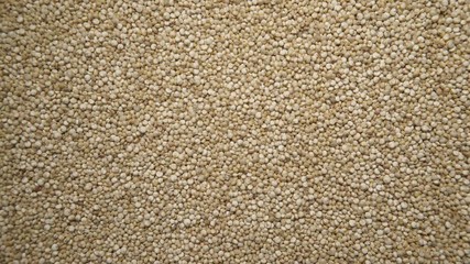 Wall Mural - Organic white quinoa seeds as natural food background. Top view. Healthy diet gluten free