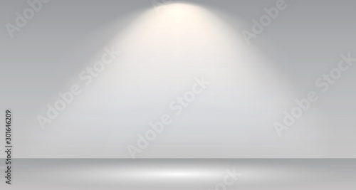 Cuadros en Lienzo Empty white photo studio interior background
