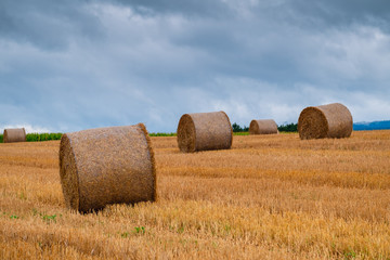 Wall Mural - Hay bales on the field after harvest