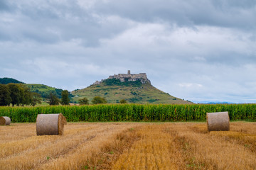 Wall Mural - Slovakian countryside. Hay bales on the field after harvest