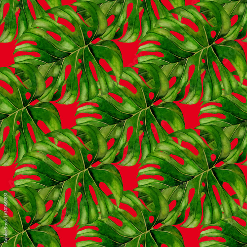 Watercolor seamless pattern with tropical leaves and flowers. Beautiful allov...