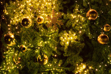 Wall Mural - close-up christmas tree with decoration, light and gold ball at night in christmas and new year holi