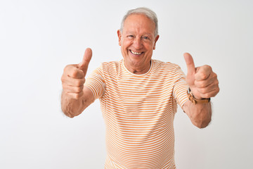 Canvas Print - Senior grey-haired man wearing striped t-shirt standing over isolated white background approving doing positive gesture with hand, thumbs up smiling and happy for success. Winner gesture.