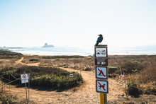 Marine protected area sign on the beach. Central California Coast