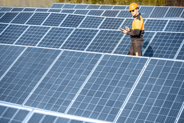 Wall Mural - engineer on a solar power plant