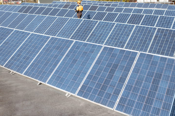 Wall Mural - engineer on a solar power plant