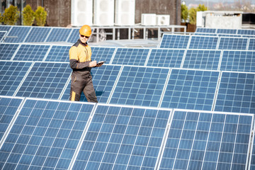 Wall Mural - engineer on a solar power plant