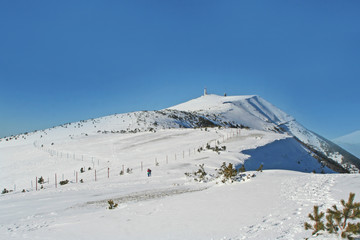 Poster - ski sur le Ventoux