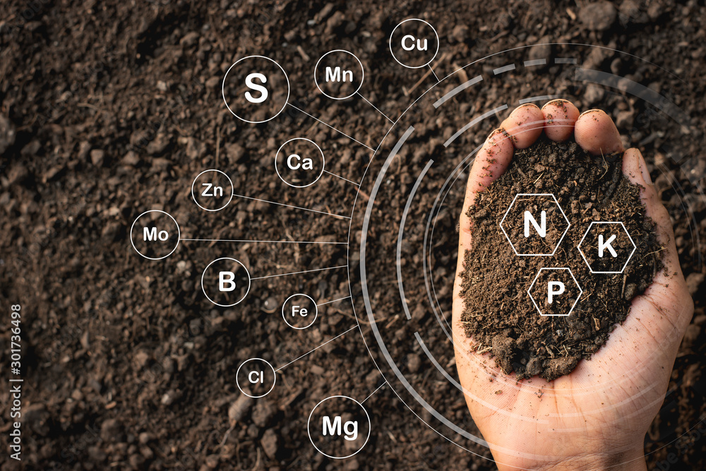 Loamy soil that is rich in man's hands and has iconic technology about soil nutrients that are essential to cultivation. - obrazy, fototapety, plakaty 