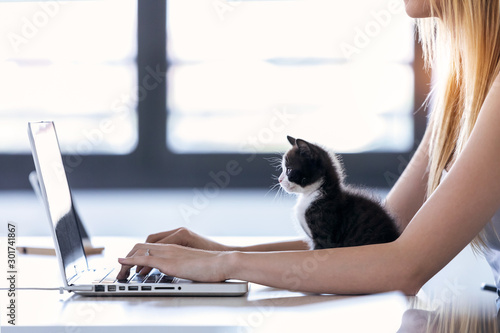 Pretty little cat looking the laptop while its owner working with him at home Poster Mural XXL