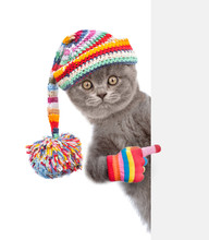 Cat Wearing A Warm Hat With Pompon Peeks And Points On Empty Banner. Isolated On White Background