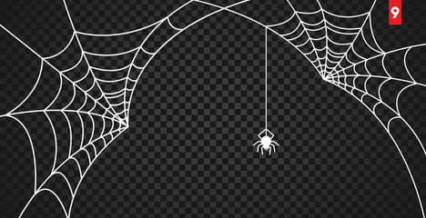 Wall Mural - halloween cobweb and spiders isolated on dark transparency background