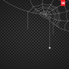Wall Mural - halloween cobweb and spiders isolated on dark transparency background