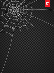Wall Mural - halloween cobweb and spiders isolated on dark transparency background