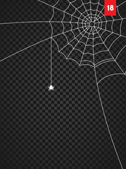 Wall Mural - halloween cobweb and spiders isolated on dark transparency background