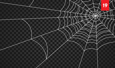 Wall Mural - halloween cobweb and spiders isolated on dark transparency background