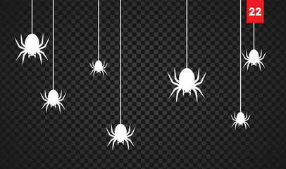 Wall Mural - spiders for decoration and covering on the transparent background. creepy background for halloween.