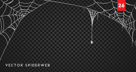 Wall Mural - halloween cobweb and spiders isolated on dark transparency background