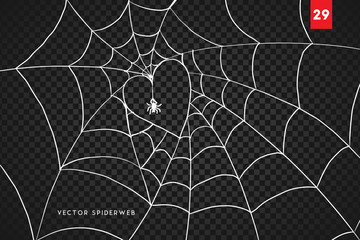 Wall Mural - halloween cobweb and spiders isolated on dark transparency background