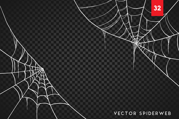 Wall Mural - halloween cobweb and spiders isolated on dark transparency background