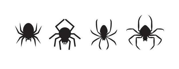Wall Mural - spiders for decoration and covering on the transparent background. creepy background for halloween.