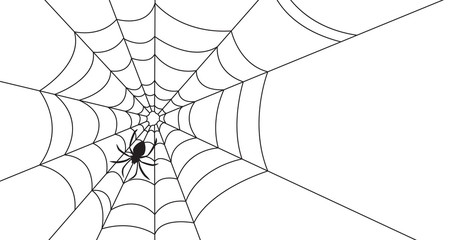 Wall Mural - halloween spider web and spiders isolated on white background