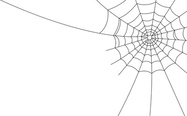 Wall Mural - halloween spider web and spiders isolated on white background
