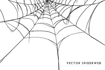 Wall Mural - halloween spider web and spiders isolated on white background